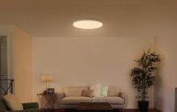 Xiaomi Mi Smart LED Ceiling Light (450mm)