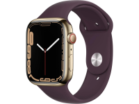Apple Watch Series 7 GPS + Cellular 45mm Edelstahl gold...
