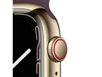 Apple Watch Series 7 GPS + Cellular 45mm Edelstahl gold mit Sportarmband