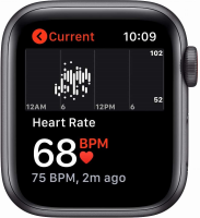 Apple Watch Nike SE GPS + Cellular 44mm space grau mit Sportarmband anthrazit/schwarz