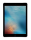 Apple iPad Pro 9.7 LTE 32GB MLPW2FD grau