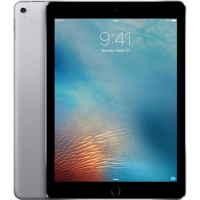 Apple iPad Pro 9.7 LTE 128GB MLQ32 grau