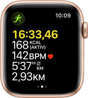 Apple Watch SE (1.Gen) GPS + Cellular 40mm gold/Polarstern