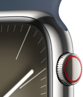 Apple Watch Series 9 GPS + Cellular 41mm Edelstahl silber/sturmblau M/L