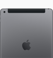Apple iPad 9 256GB Spacegrau Wi-Fi + 4G (2021)