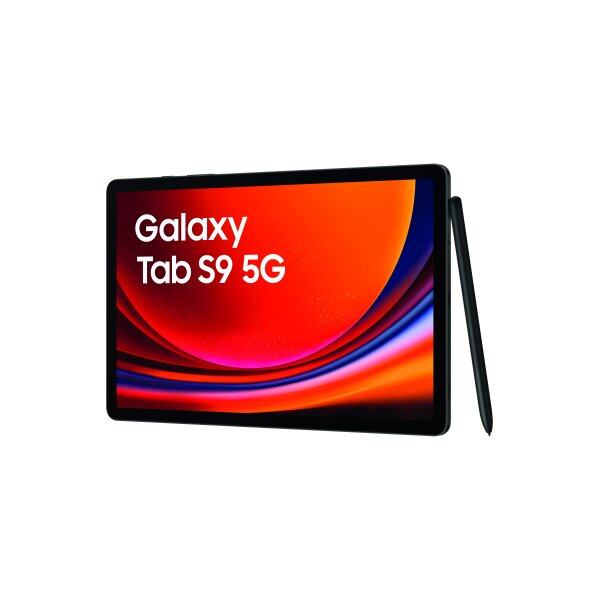 Samsung Tab S9 5G 128GB Grau Enterprise Edition