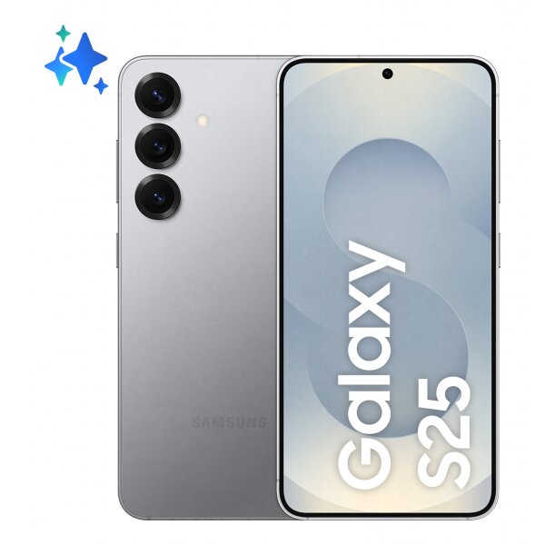 Samsung Galaxy S25 256GB Silver Shadow