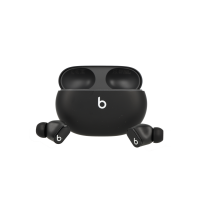 Apple Beats Studio Buds schwarz