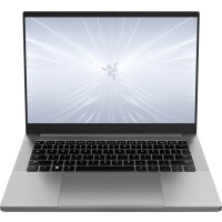 Razer Blade 16 Core i9-14900HX 1TB/16GB RTX 4070 (8GB) Win11 silber DE (2024)