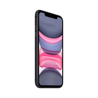 Apple iPhone 11 256GB schwarz oZ