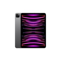 Apple iPad Pro 11 (4.Gen) 2TB spacegrau Wi-Fi (2022)