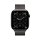 Apple Watch Series 11 (GPS + Cellular) 46mm Titan Schiefer Milanaise-Armband Schiefer M/L