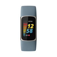 Fitbit Charge 5 Aktivitäts-Tracker steel blue platinum