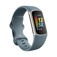 Fitbit Charge 5 Aktivitäts-Tracker steel blue platinum
