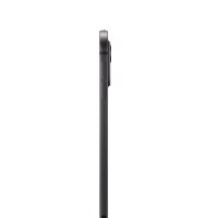 Apple iPad Pro 11 (5.Gen) M4 256GB Space Black Wi-Fi + 5G...